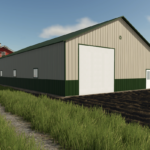 42x80 Shop2