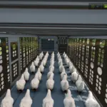 Animal Transporter 1.0