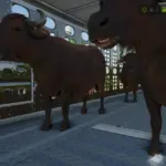 Animal Transporter 1.02