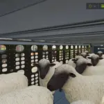 Animal Transporter 1.04