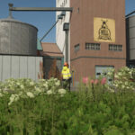 Modernized Flour Mill5