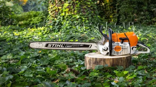 STIHL MS 661 v1.0