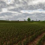 Campos Gerai