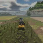 Narrow vines and olives v1.04
