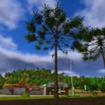Araucaria v1.0.0.13