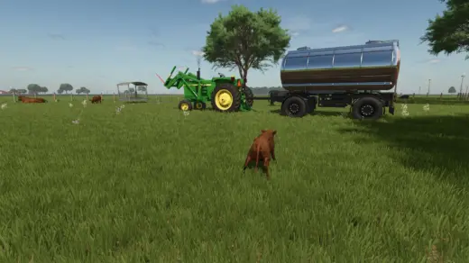 Beef Cattle Pasture v1.0