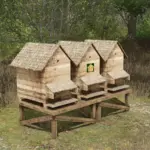 Beehive With 3 Large Frames v1.02