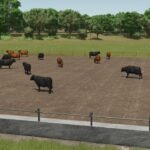 Buildable Feedlot Pack2