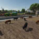 Buildable Feedlot Pack3