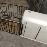 Calf Iglu v1.0