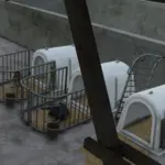 Calf Iglu v1.03