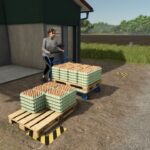 Cargo Cart2