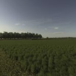 Cool Shaders3