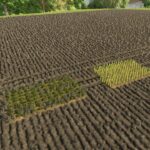 GL860 Multi Planter3
