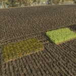 GL860 Multi Planter4