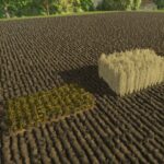 GL860 Multi Planter5