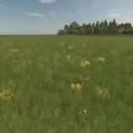 Grass with Dandelions and Daisies v1.0