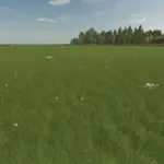 Grass with Dandelions and Daisies v1.02