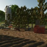 GreenHouse Wood3