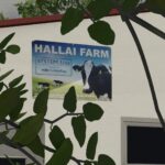 Hallai Farm Pack3