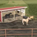 Horse pasture v1.02