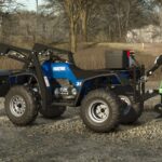 Lizard Fourtrax 3002