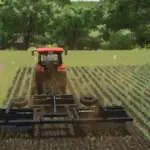Lizard MX 6M v1.0