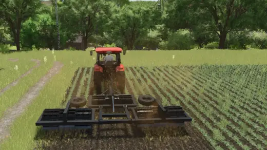 Lizard MX 6M v1.0