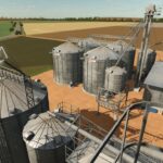 Lizard Medium Silos Pack5