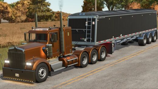 Lizard W900 B