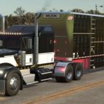 Lizard W900 B3