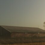 Old Cowshed2