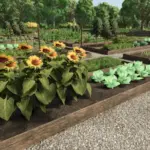 Open Air Garden v1.06