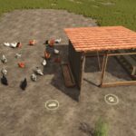 Open Chicken Coop3