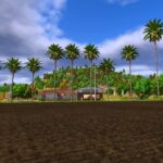 Palm tree pack2