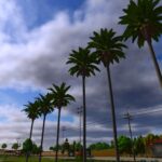 Palm tree pack3