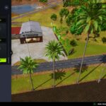 Palm tree pack4