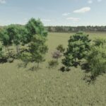 Placeable Tree Pack2