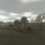 Placeable Tree Pack4