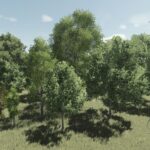 Placeable Tree Pack6