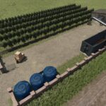 Plantations for grapes and olives