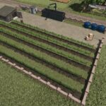 Plantations for grapes and olives2
