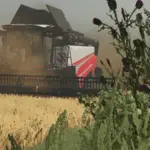 Rostselmash RSM 161 Pack v1.0