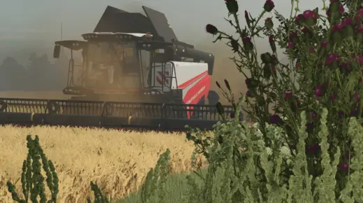 Rostselmash RSM 161 Pack v1.0