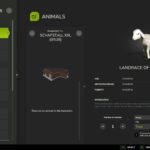 Sheepfold XXL6