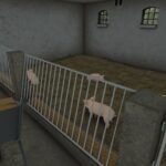 Small Old German Pigsty2