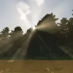 The Risoux Forest v1.05