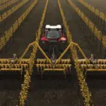 Agrisem Disc O Vigne XXL v1.0