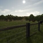 Bigger Animal Barns3