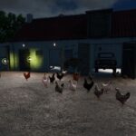 Chicken Barn3